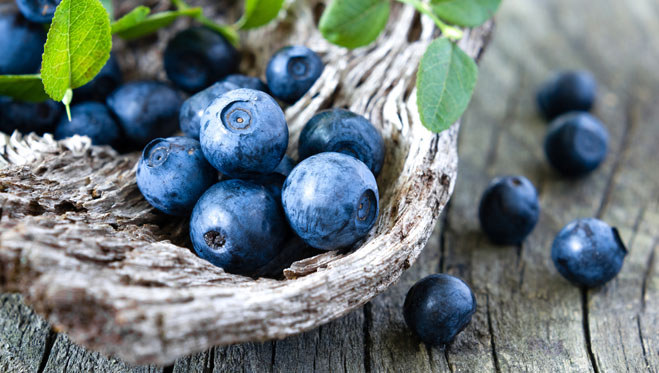 foodcoaching1